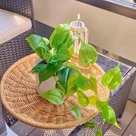 Apartmán Ludwiga - Vierstaedte Nest *